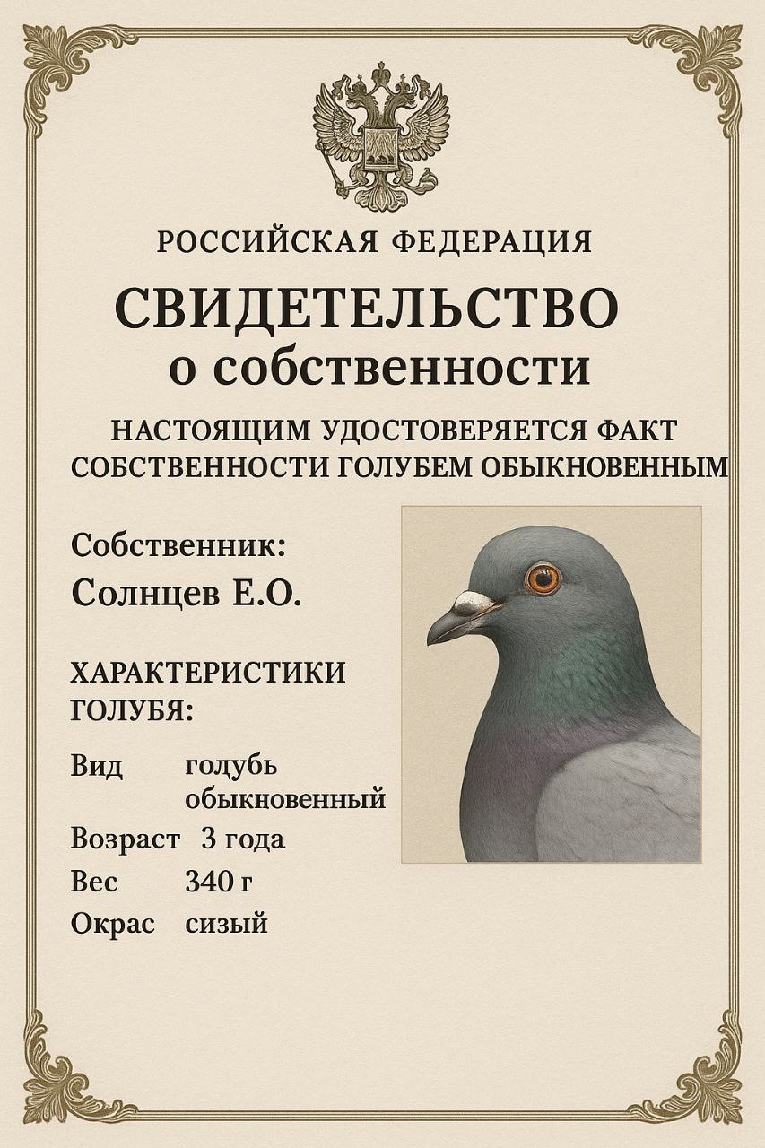 ПРАВО ГОНЯТЬ ГОЛУБЕЙ! 🤸‍♂️🦆
Тут недавно приключился со мной вот какой казус | Сетка — социальная сеть от hh.ru