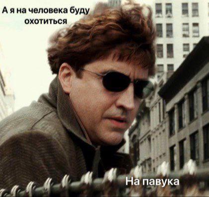 Появился новый мем — маленький манул, выглядывающий из-за угла со словами «А я буду на жука охотиться. На паука» | Сетка — социальная сеть от hh.ru