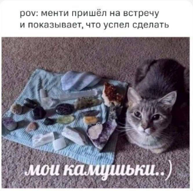 Спич про менти | Сетка — социальная сеть от hh.ru