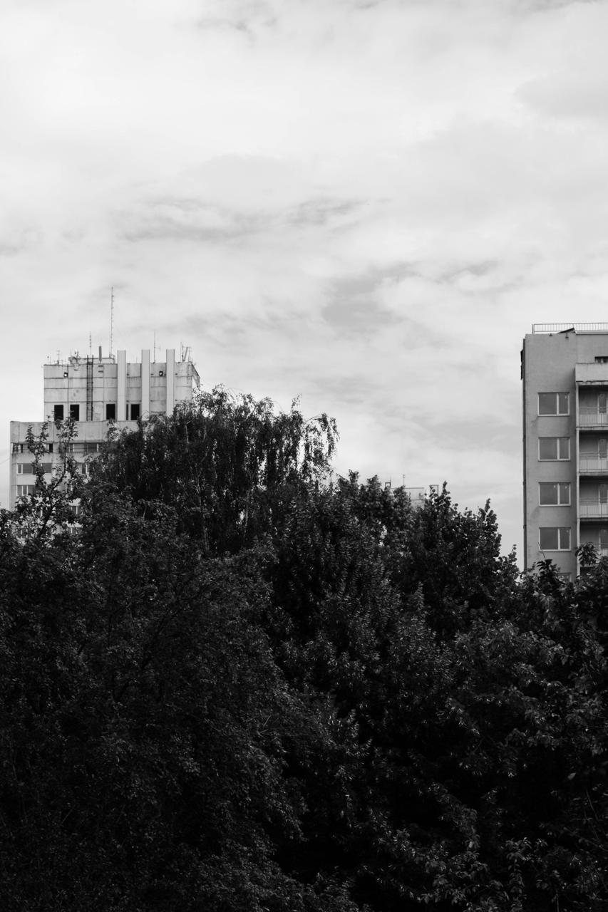 я же камеру поменял
пересел с сони на фуджа
(спасибо коллегам)
инженеры фуджи реально смогли передать не просто картинку, а опыт
всё механическое, крутилки, щелчки — кайф в чистом виде
вот прям держу ... | Сетка — социальная сеть от hh.ru