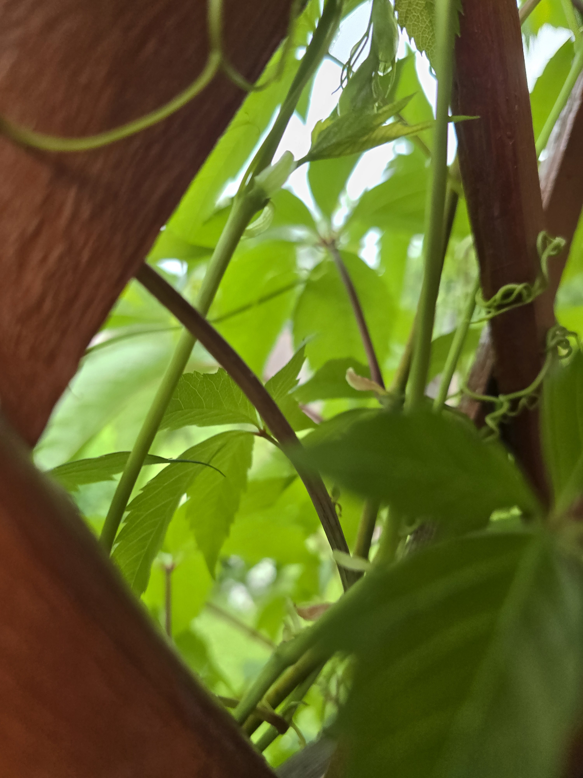 Отдых на даче 🏡 | Сетка — социальная сеть от hh.ru