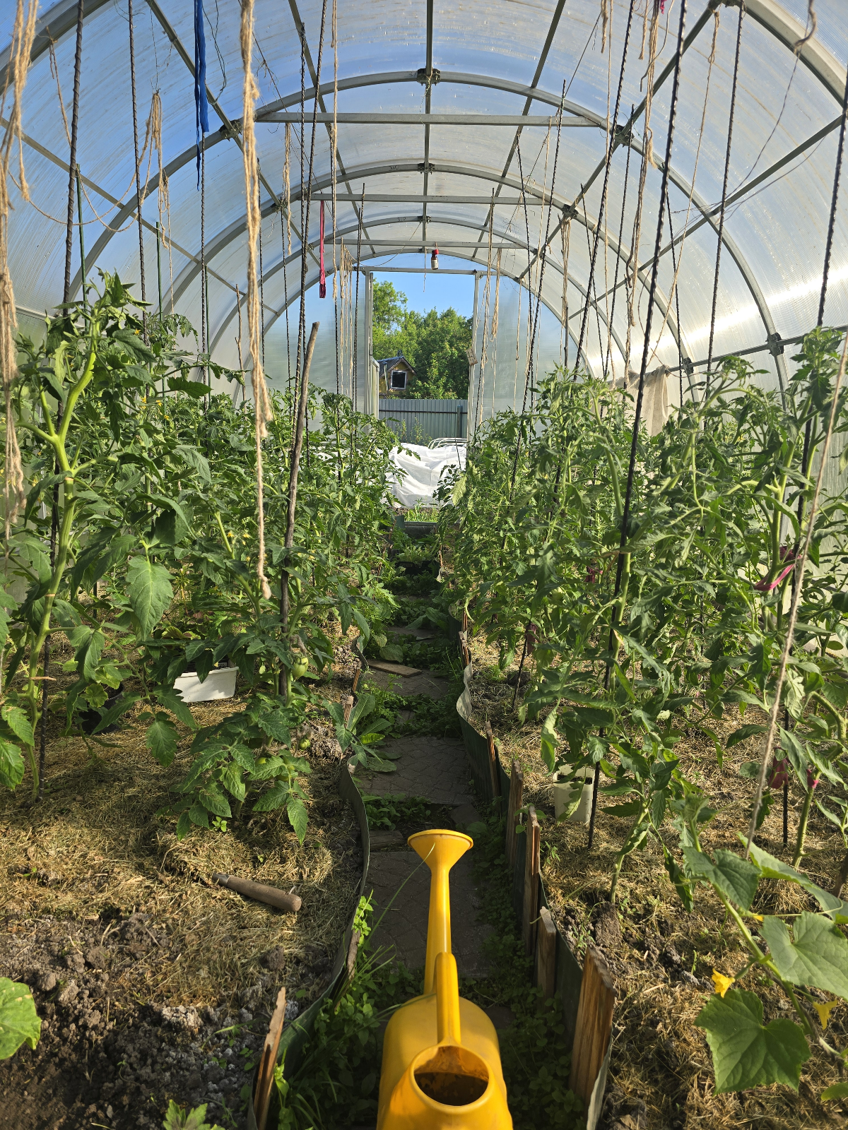 Отдых на даче 🏡 | Сетка — социальная сеть от hh.ru