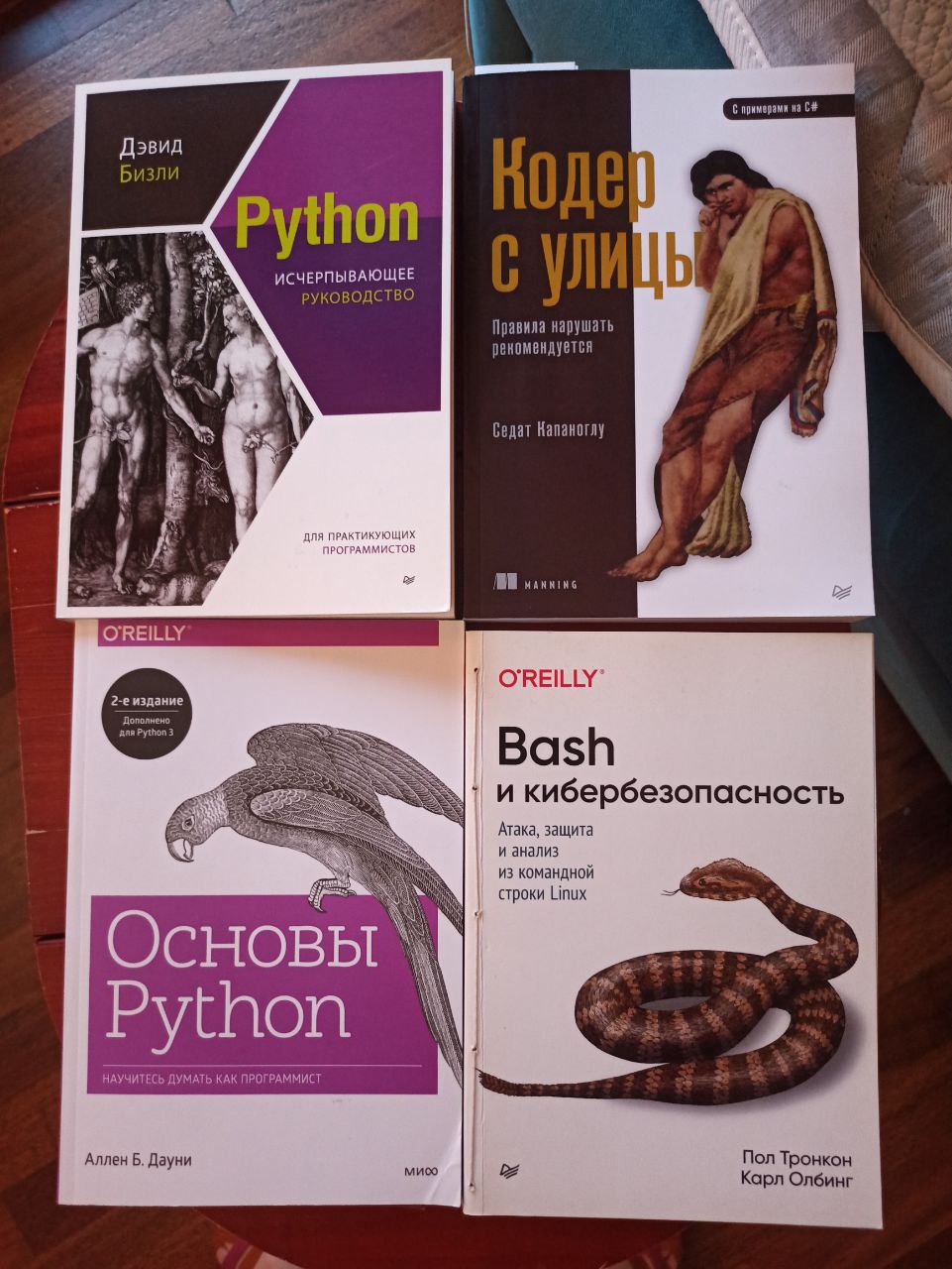 Обажаю оформление книг для програмистов.
Сразу видно их любовь к животным и искусству❤️ | Сетка — социальная сеть от hh.ru