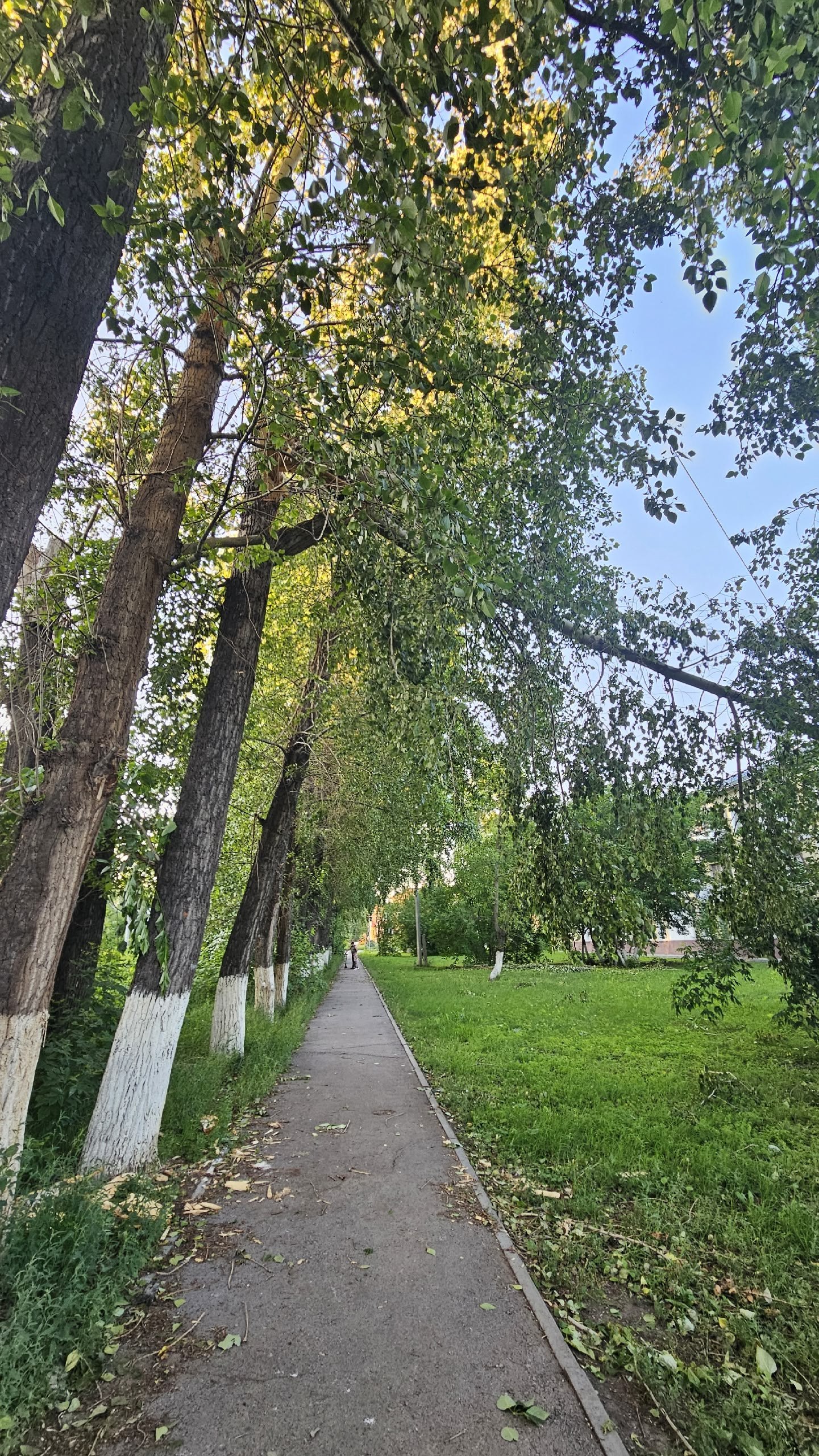 Дорога к садику
http://vk.com/ob.gorod?w=wall-100380192529615 | Сетка — социальная сеть от hh.ru