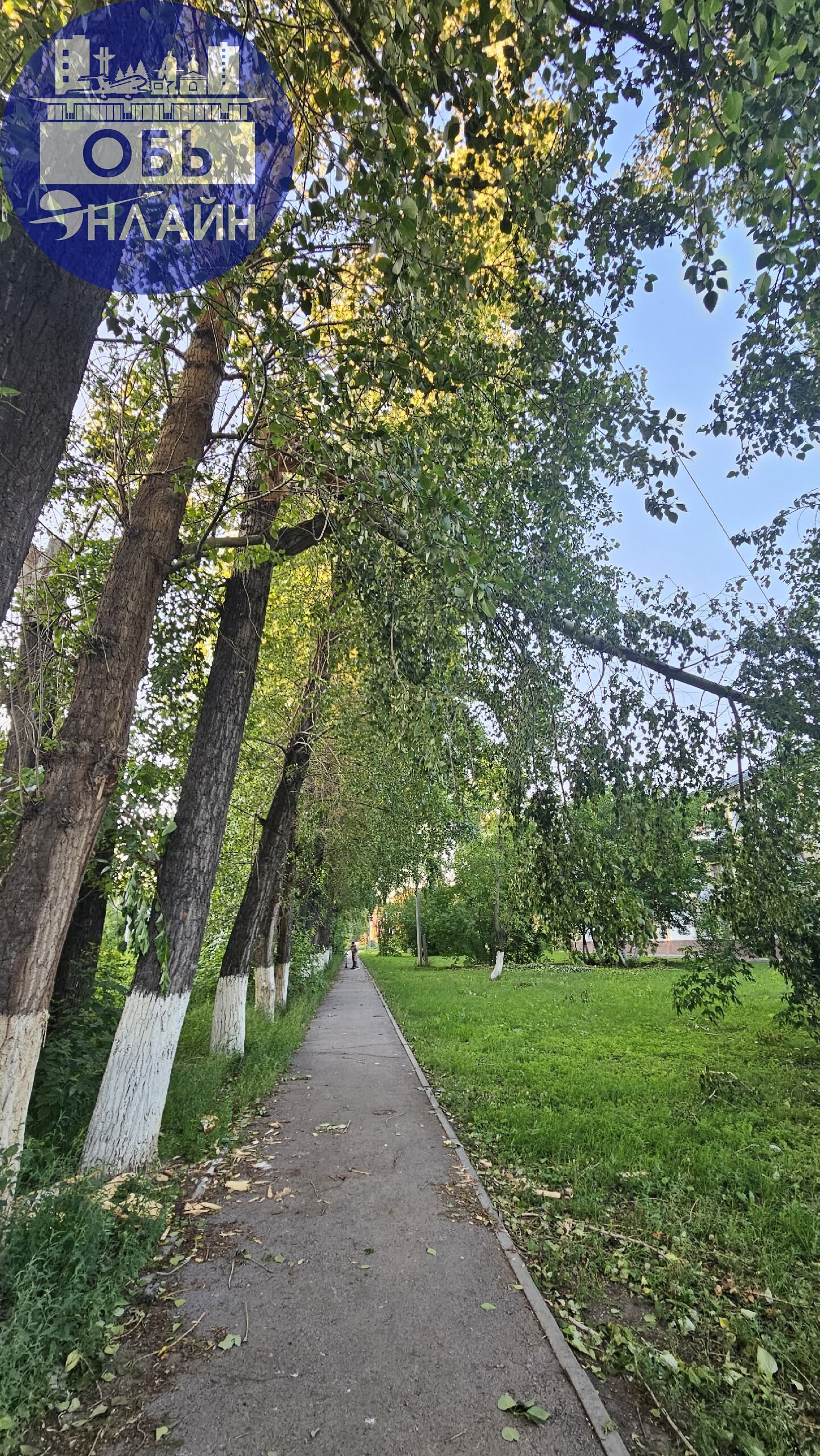↗ Дорога к садику
vk.com
Подробнее на https://vk.com/ob.gorod
#городобь #городобьонлайн #толмачево | Сетка — социальная сеть от hh.ru
