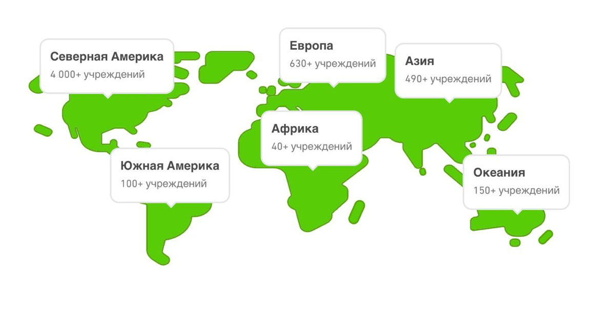 Пока все недооценивали сову… | Сетка — социальная сеть от hh.ru