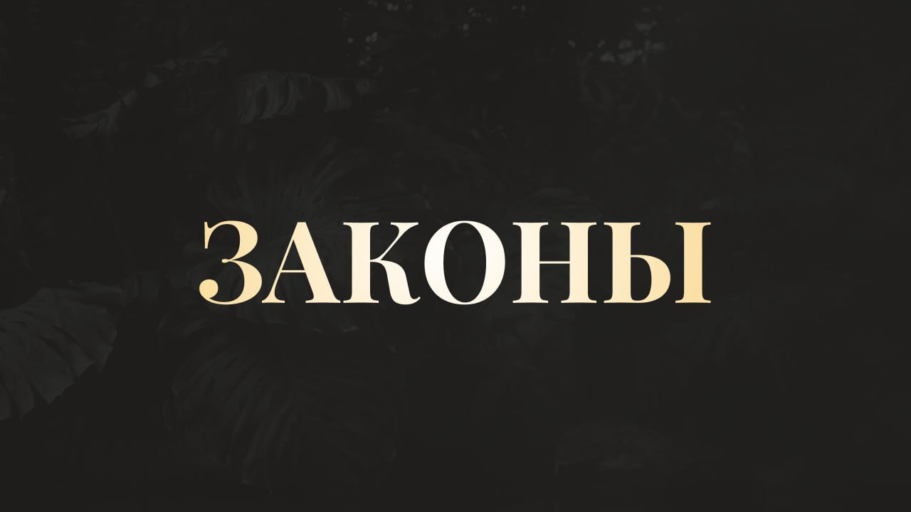 ПЯТЬ ЗАКОНОВ НАХОЖДЕНИЯ В МОЕМ КАНАЛЕ:
1. Я тебе ничего не должен по умолчанию.
Твоё нахождение в этом канале - это сугубо твоё решение
2. Представь, что ты у меня на приёме | Сетка — социальная сеть от hh.ru