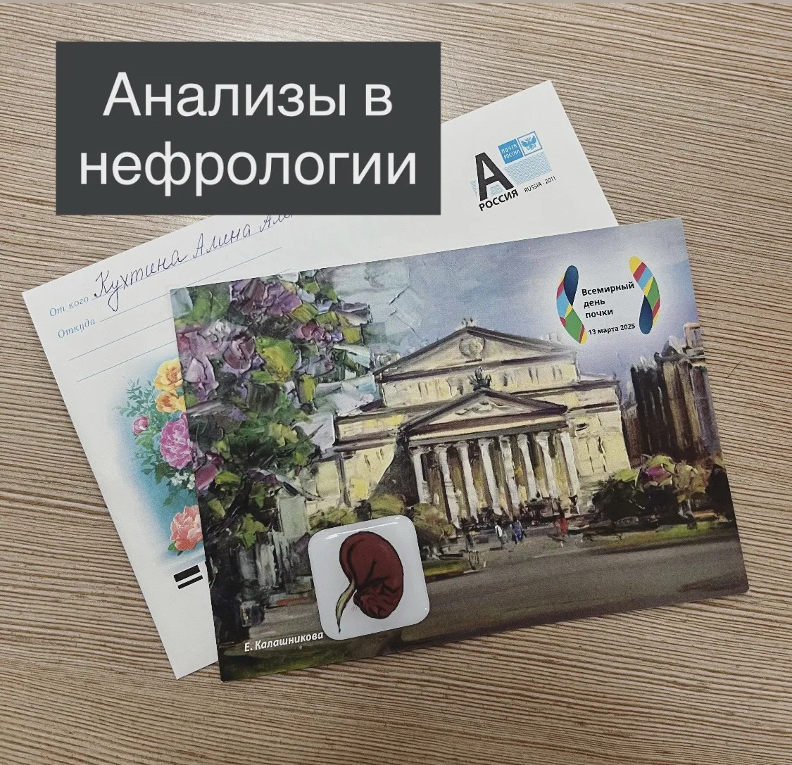Анализы в нефрологии: кому когда и что сдавать | Сетка — социальная сеть от hh.ru
