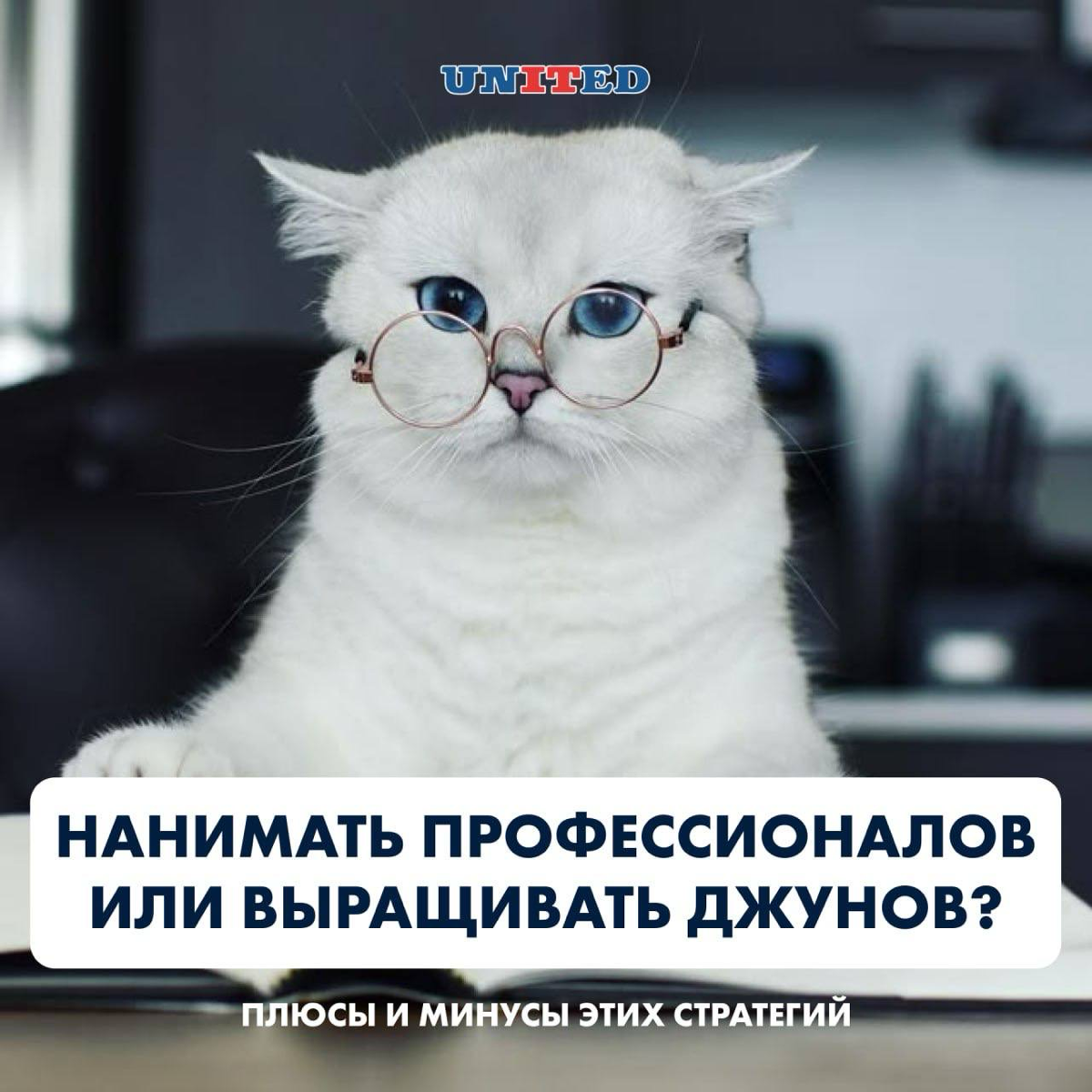 Нанимать сильных или выращивать джунов? | Сетка — социальная сеть от hh.ru