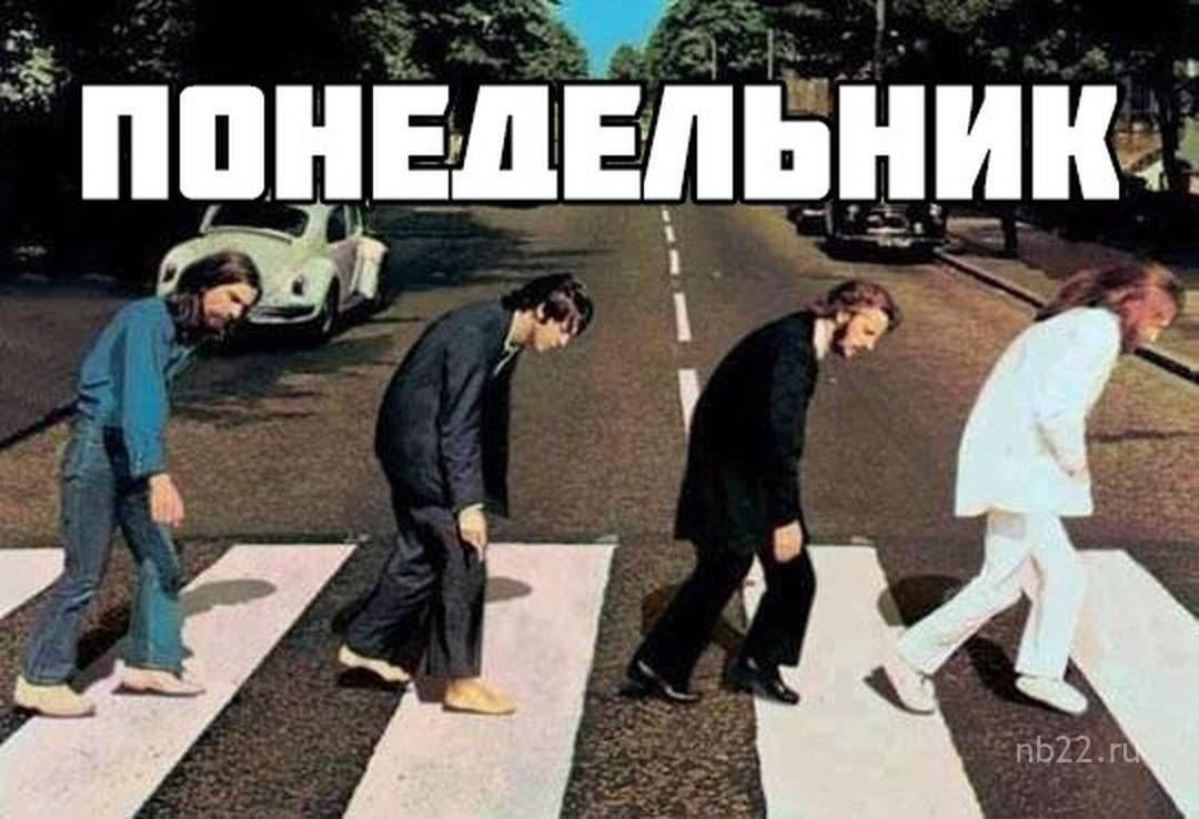 Понедельник сучки, GO на работу 😅👍 | Сетка — социальная сеть от hh.ru