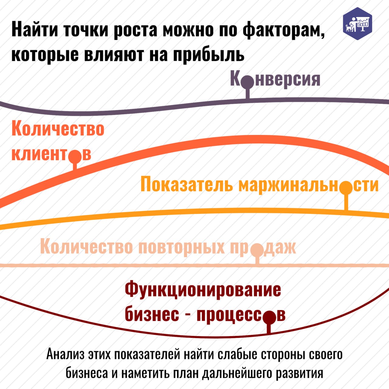 ↗️ «Мы все время слышим про точки роста для ветеринарной клиники | Сетка — социальная сеть от hh.ru