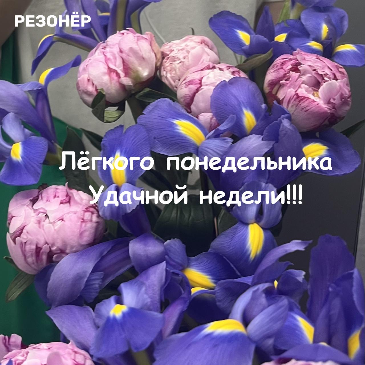 Судя по статистике канала, в понедельник никому особо не до полезностей, поэтому ловите цветочки. Про что-то полезное напишу завтра)
@rezonerw | Сетка — социальная сеть от hh.ru