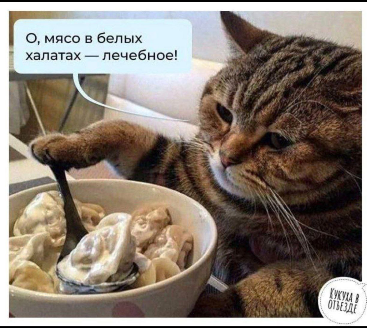Лишний вес и Соматипология. | Сетка — социальная сеть от hh.ru