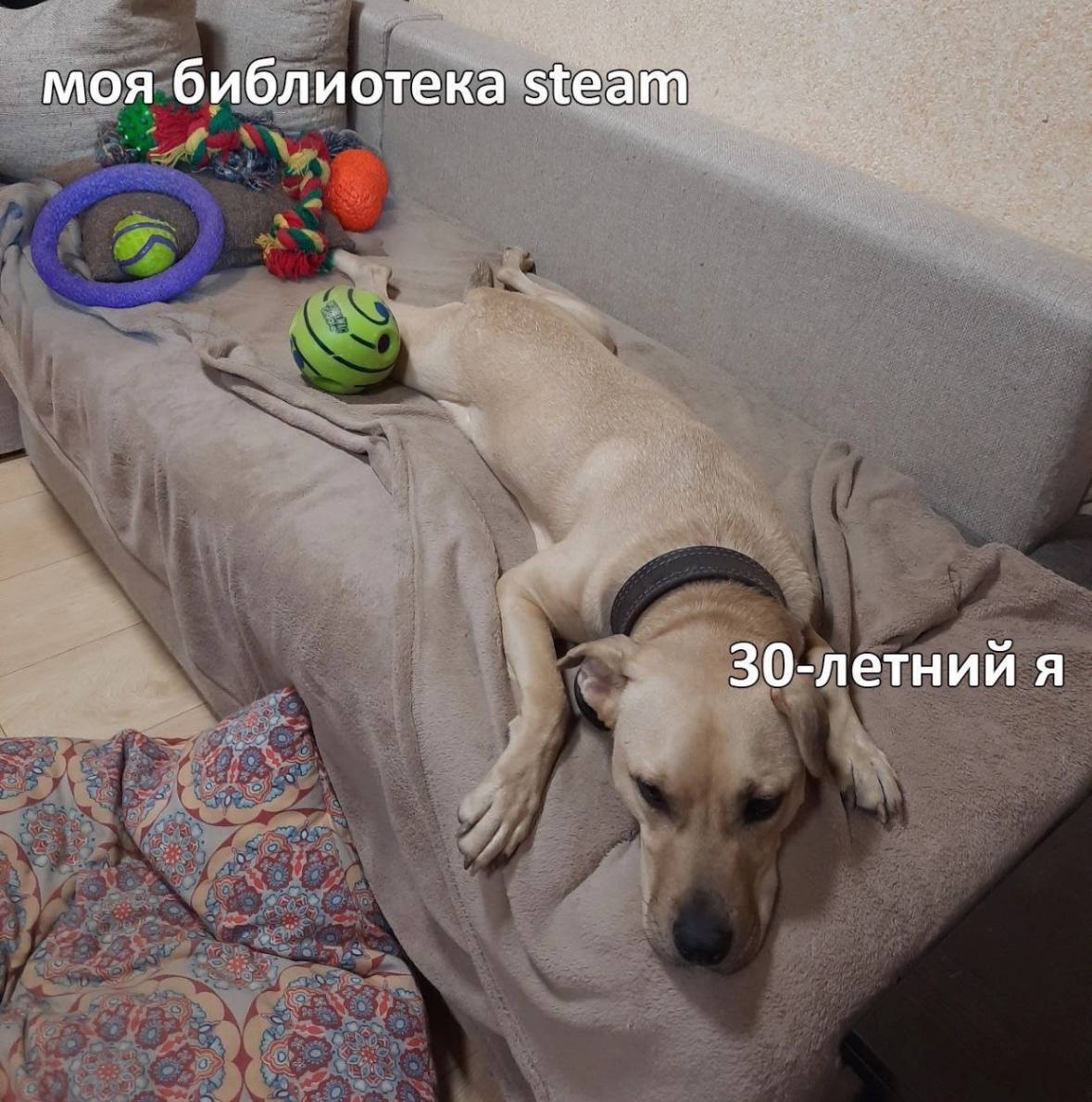 После летней распродажи | Сетка — социальная сеть от hh.ru
