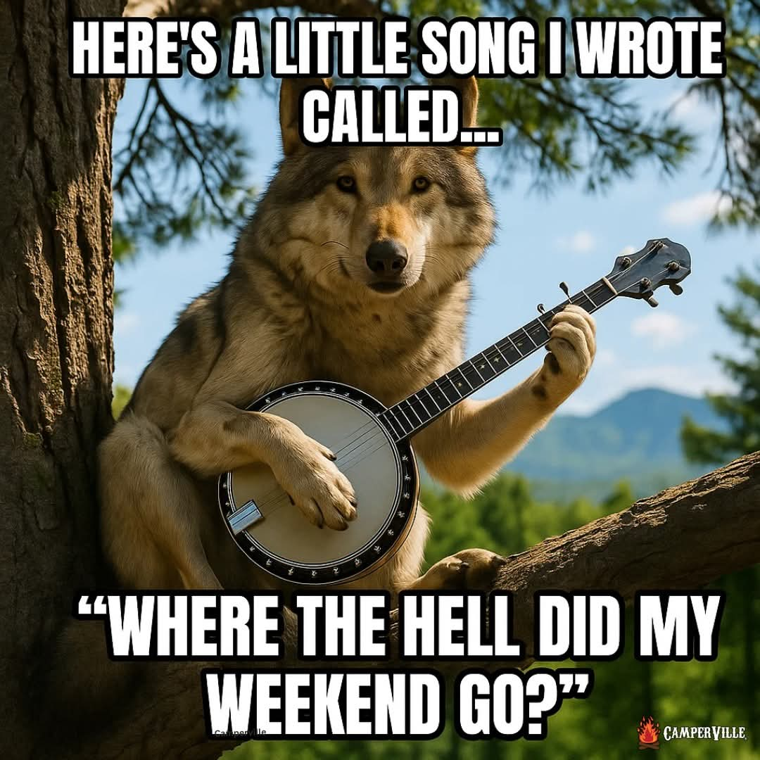 🙄 Little song... | Сетка — социальная сеть от hh.ru