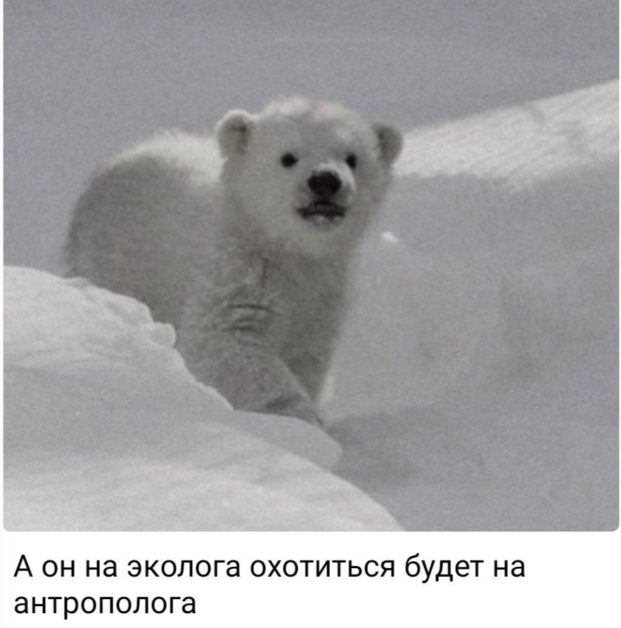Так как у меня нет возможности запостить миллиард сторис в канале, мне придëтся показать мою коллекцию мемов про охоту на жука и на паука так 🤗
В комментах продолжение | Сетка — социальная сеть от hh.ru