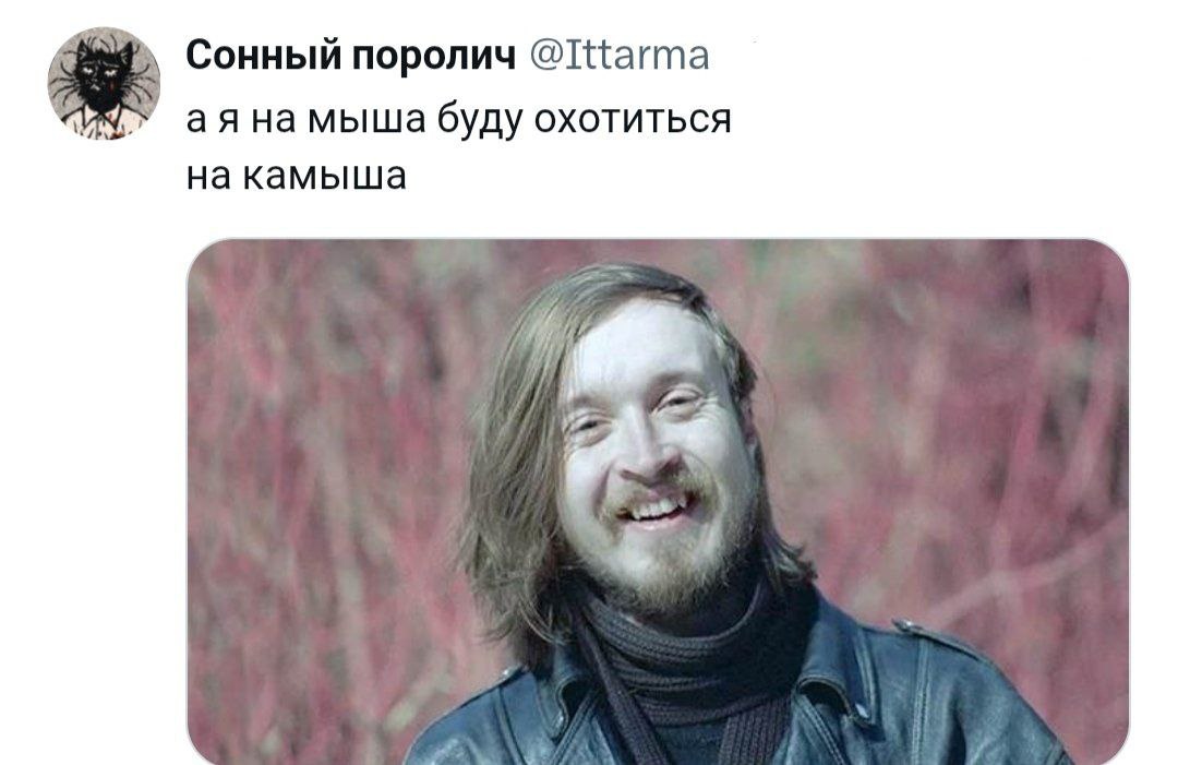 Так как у меня нет возможности запостить миллиард сторис в канале, мне придëтся показать мою коллекцию мемов про охоту на жука и на паука так 🤗
В комментах продолжение | Сетка — социальная сеть от hh.ru