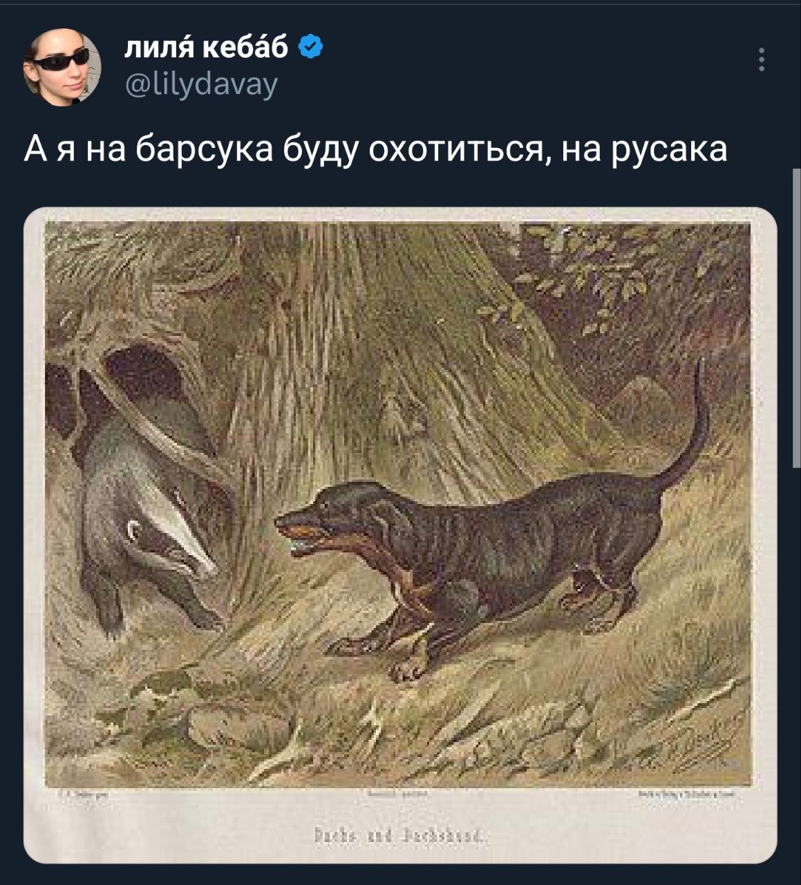 Так как у меня нет возможности запостить миллиард сторис в канале, мне придëтся показать мою коллекцию мемов про охоту на жука и на паука так 🤗
В комментах продолжение | Сетка — социальная сеть от hh.ru