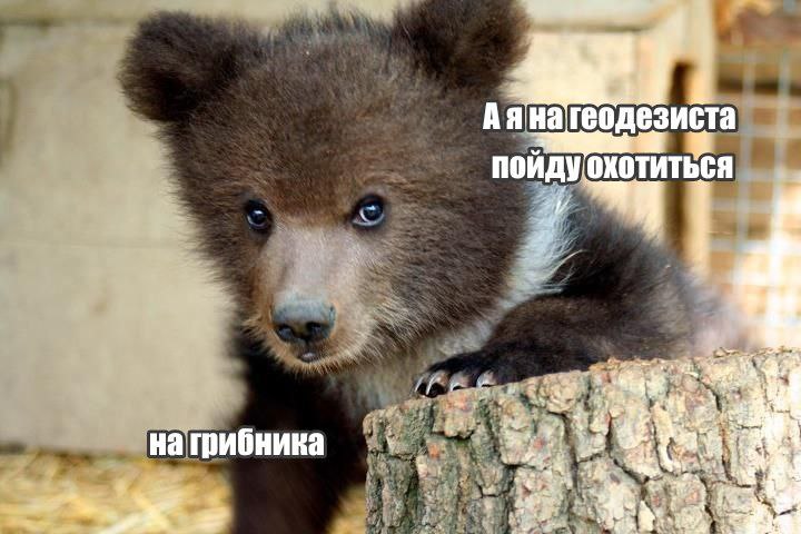 Так как у меня нет возможности запостить миллиард сторис в канале, мне придëтся показать мою коллекцию мемов про охоту на жука и на паука так 🤗
В комментах продолжение | Сетка — социальная сеть от hh.ru