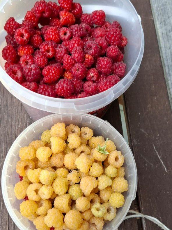 Недавно я была на собеседовании. Не то чтобы я так часто на них хожу, но это запомнилось. И главное - я в первый раз получила обратную связь (без сарказма, на самом деле респект hr-у) | Сетка — социальная сеть от hh.ru