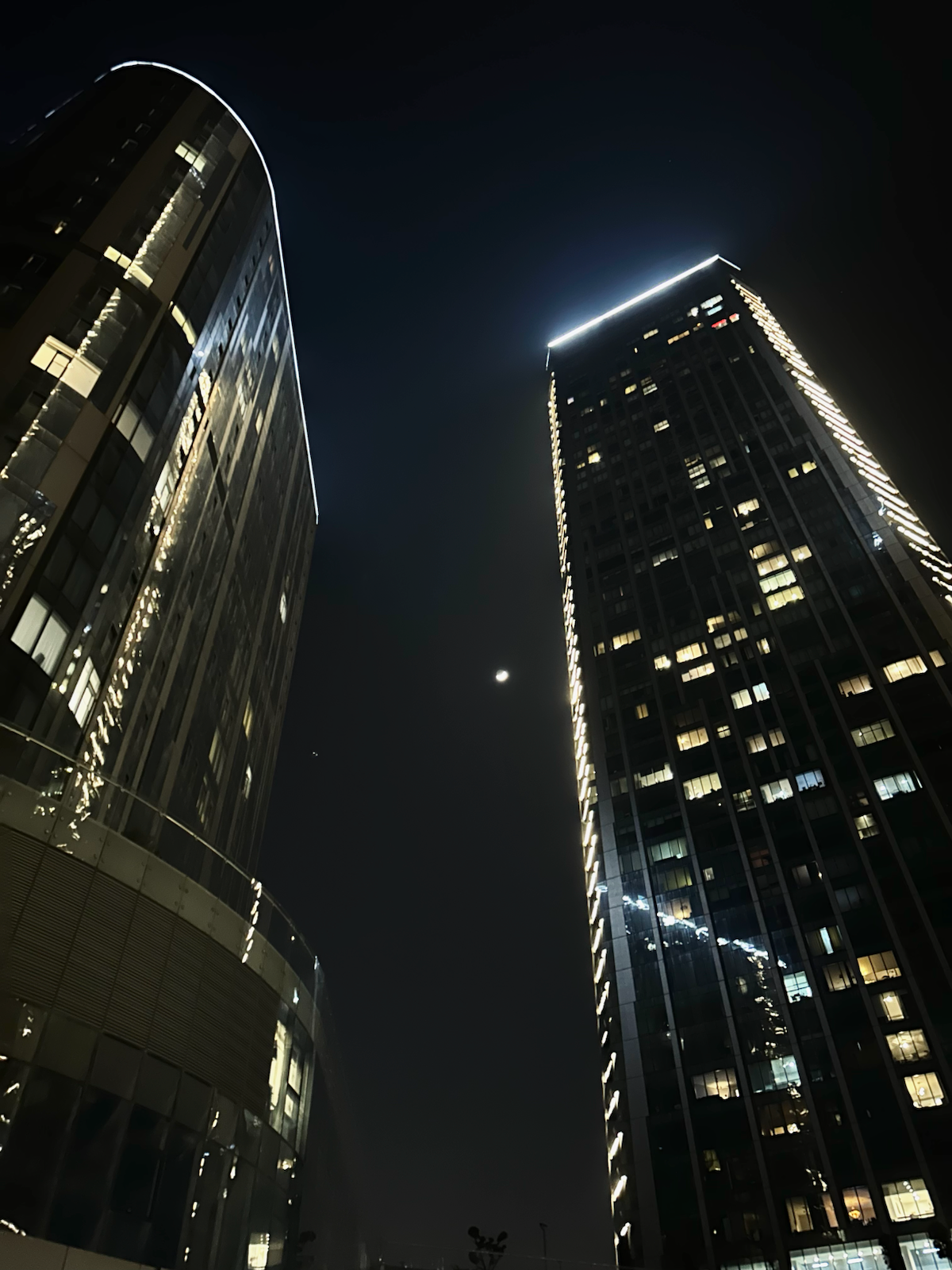 Особенности национальной охоты по-турецки. | Сетка — социальная сеть от hh.ru