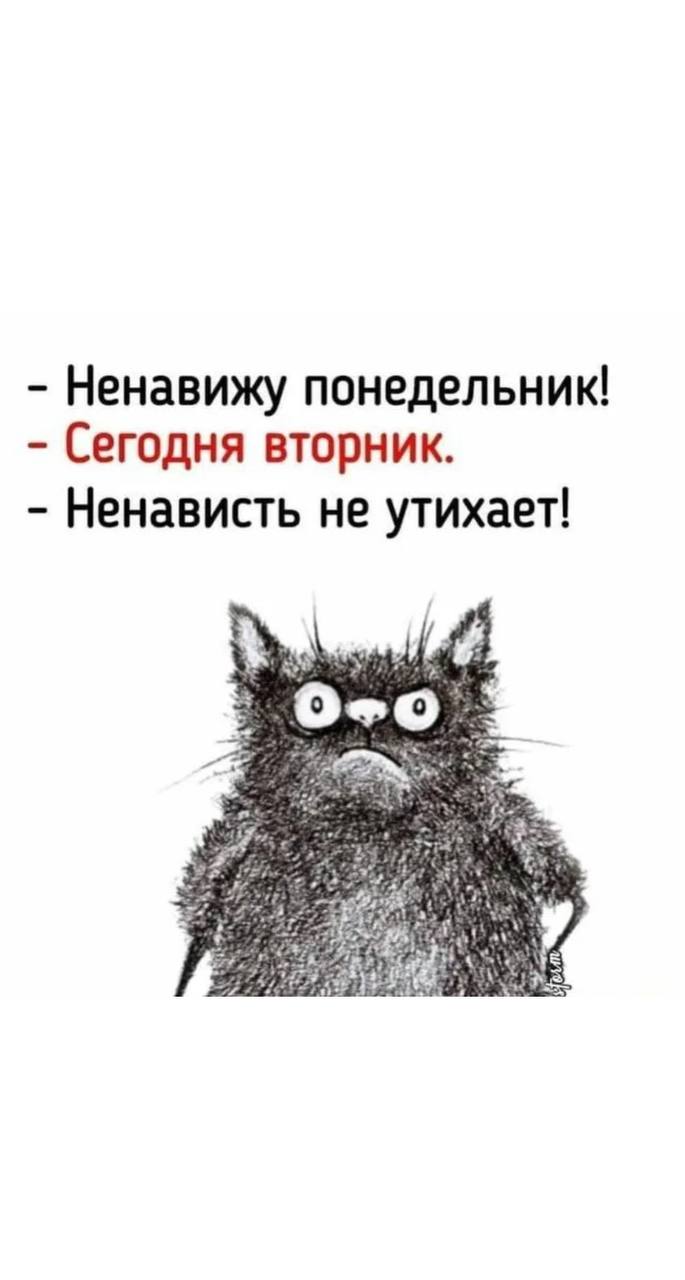 Как начать жить как тебе хочется, а не как надо?!🌟
⁣⁣⠀
Есть много рецептов как это сделать, но нет универсального для всех. Я советую пользоваться маркерами | Сетка — социальная сеть от hh.ru