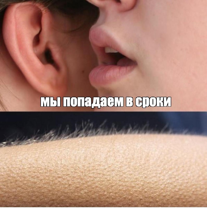 мед на уши | Сетка — социальная сеть от hh.ru