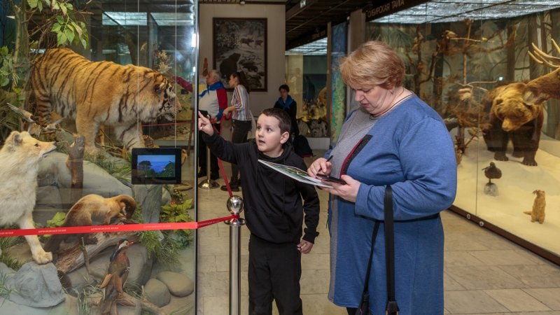 🐯День Тигра в Дарвиновском музее
26 июля 10:30-16:00В программе:
🔘увлекательные квесты
🔘познавательная экскурсия
🔘настольные игры
🔘интересные мастер-классы
🔘тигриная викторина
🔘зоомакияж и подарки
Под... | Сетка — социальная сеть от hh.ru