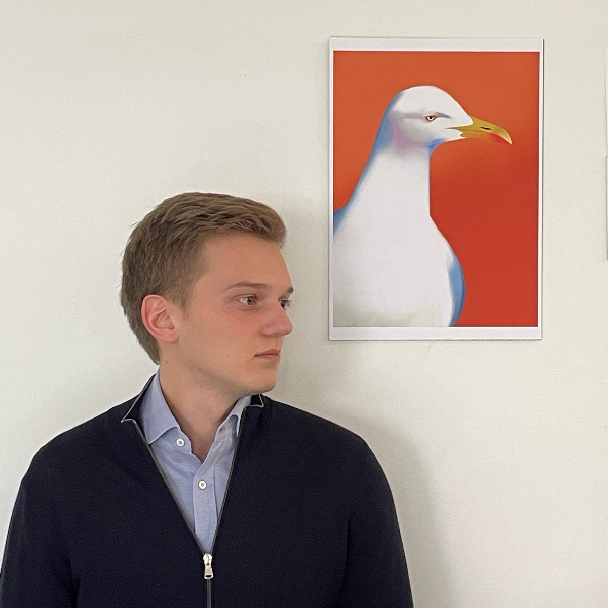 Network member avatar