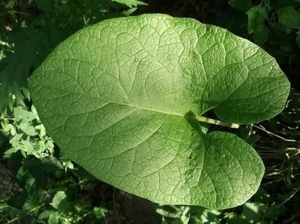 Приветики пистолетик 😁😁😁😁😊😊😊😊😊😊😊  
С Вами снова я LadyMari ❤️❤️❤️❤️❤️❤️❤️❤️❤️❤️❤️❤️
🌼🌼🌼🌼🌼🌼🌼🌼🌿🌿🌿🌿🌿🌿
Сегодня отличная погода и настроение у меня на высоте | Сетка — социальная сеть от hh.ru