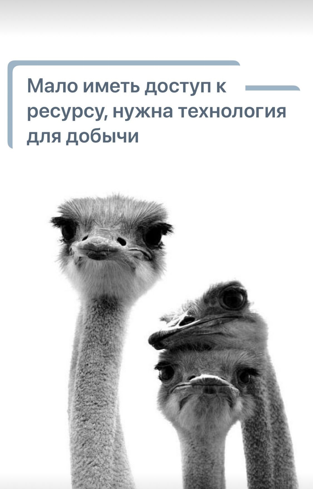 Когда СЕО провалил проект | Сетка — социальная сеть от hh.ru