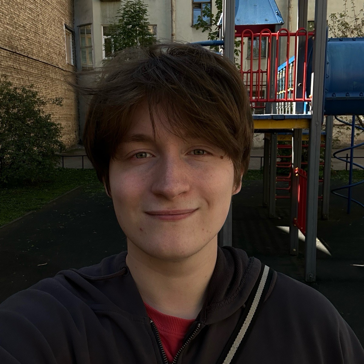 Платон Стёпин