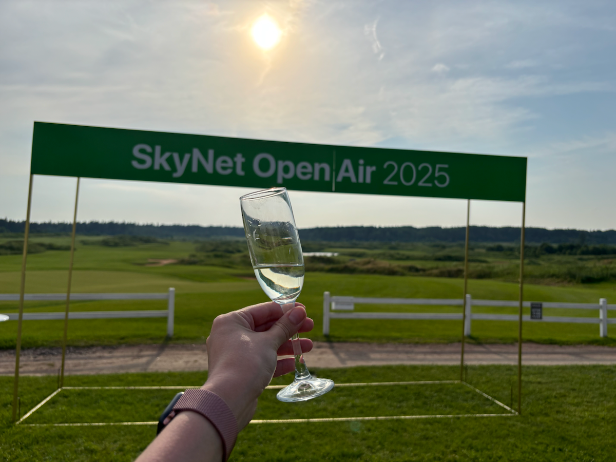 SkyNet Open Air - гольф! ⛳️ | Сетка — социальная сеть от hh.ru