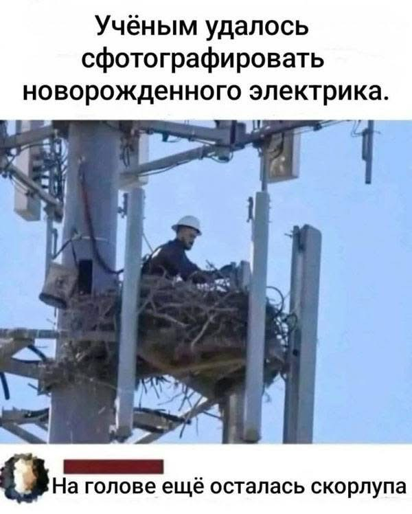 Новорожденный электрик | Сетка — социальная сеть от hh.ru