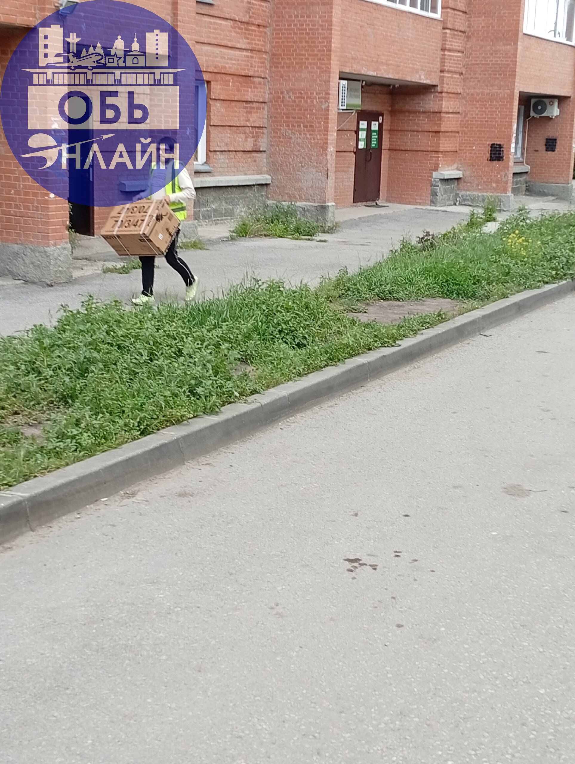 ↗ Сотрудники озон совсем оборзели. Хамят клиентам. Данный сотрудник в зелёной жилетке, разгружал данный автомобиль | Сетка — социальная сеть от hh.ru