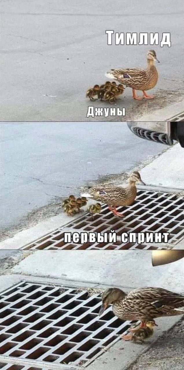 #work #it | Сетка — социальная сеть от hh.ru