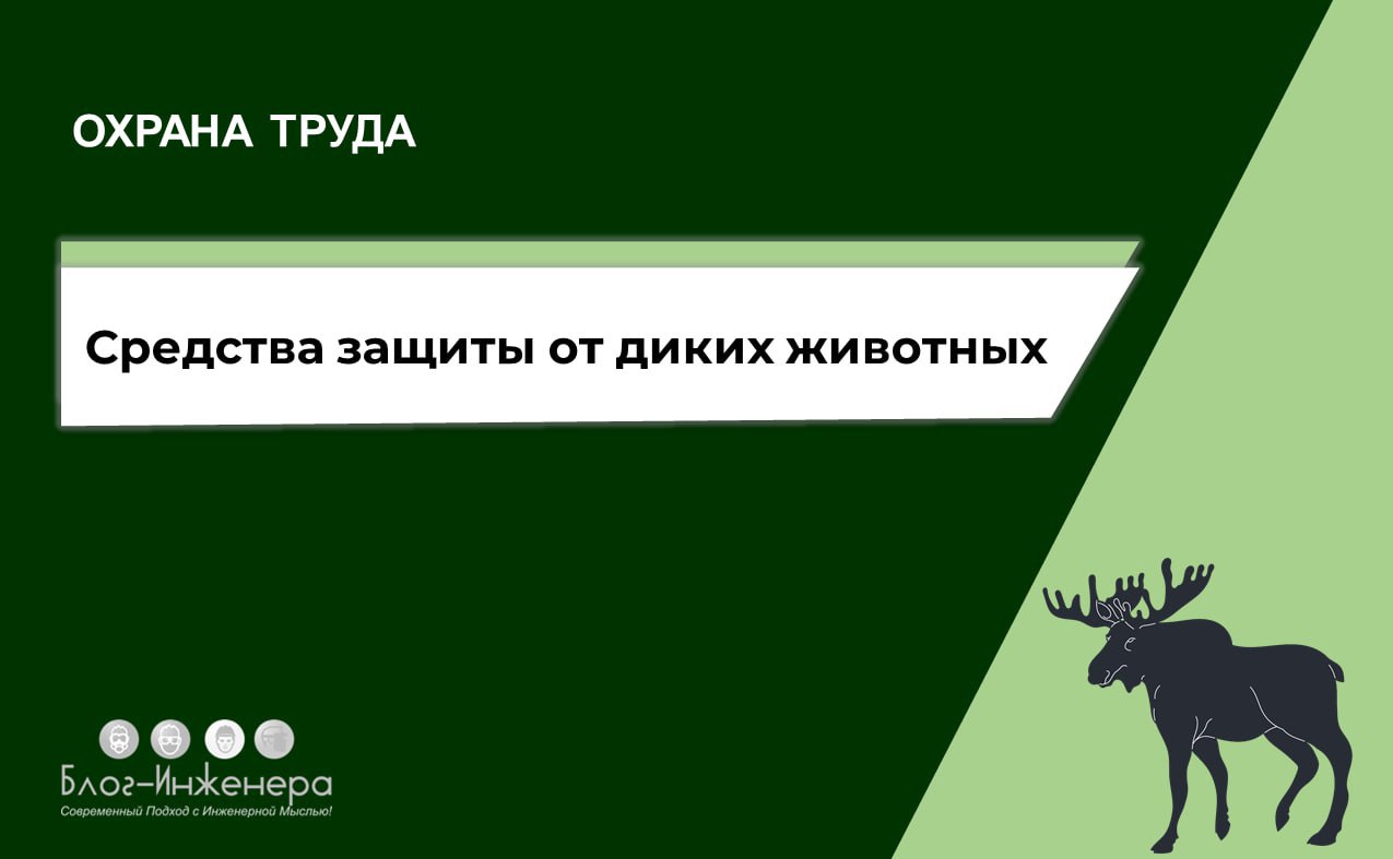 🐅 Дикие животные: как не стать чьим-то обедом?
Обновлено 23.07 | Сетка — социальная сеть от hh.ru