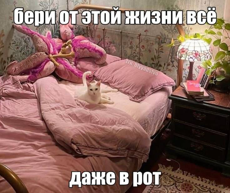 Сексуальность — это не только  про секс, не просто кружевно | Сетка — социальная сеть от hh.ru