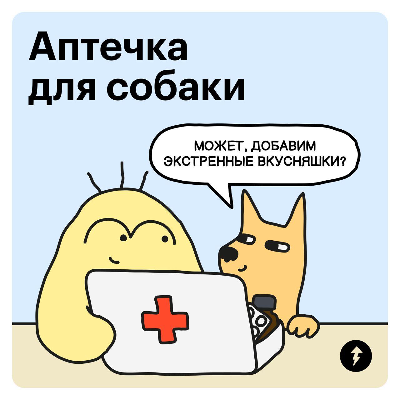 🐶 Что должно быть в собачьей аптечке
Некоторые человеческие лекарства псам строго противопоказаны: аспирин, ибупрофен, парацетамол, кеторол и их аналоги, а также любые антидепрессанты | Сетка — социальная сеть от hh.ru