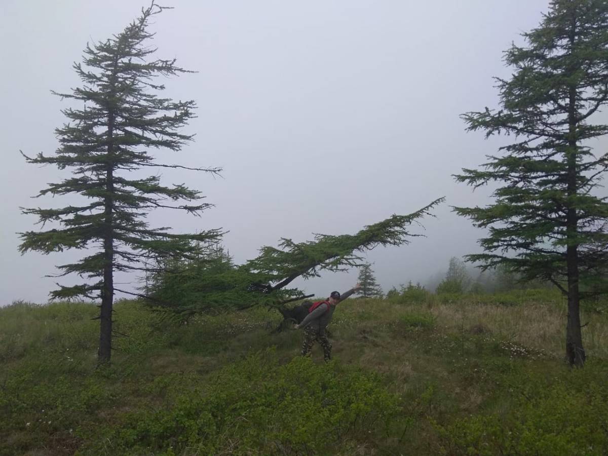 Александр Сыпченко