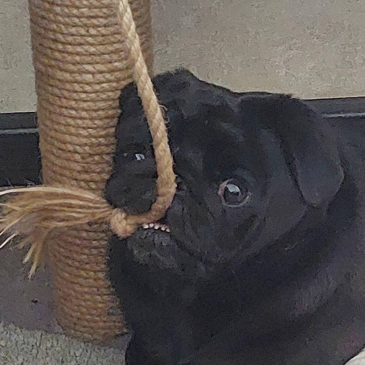 Алексей Грошихин | Сетка — социальная сеть от hh.ru