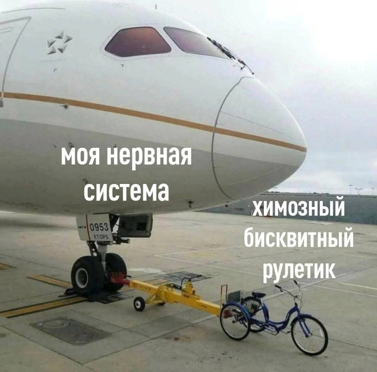 С какими запросами ко мне обращаются | Сетка — социальная сеть от hh.ru