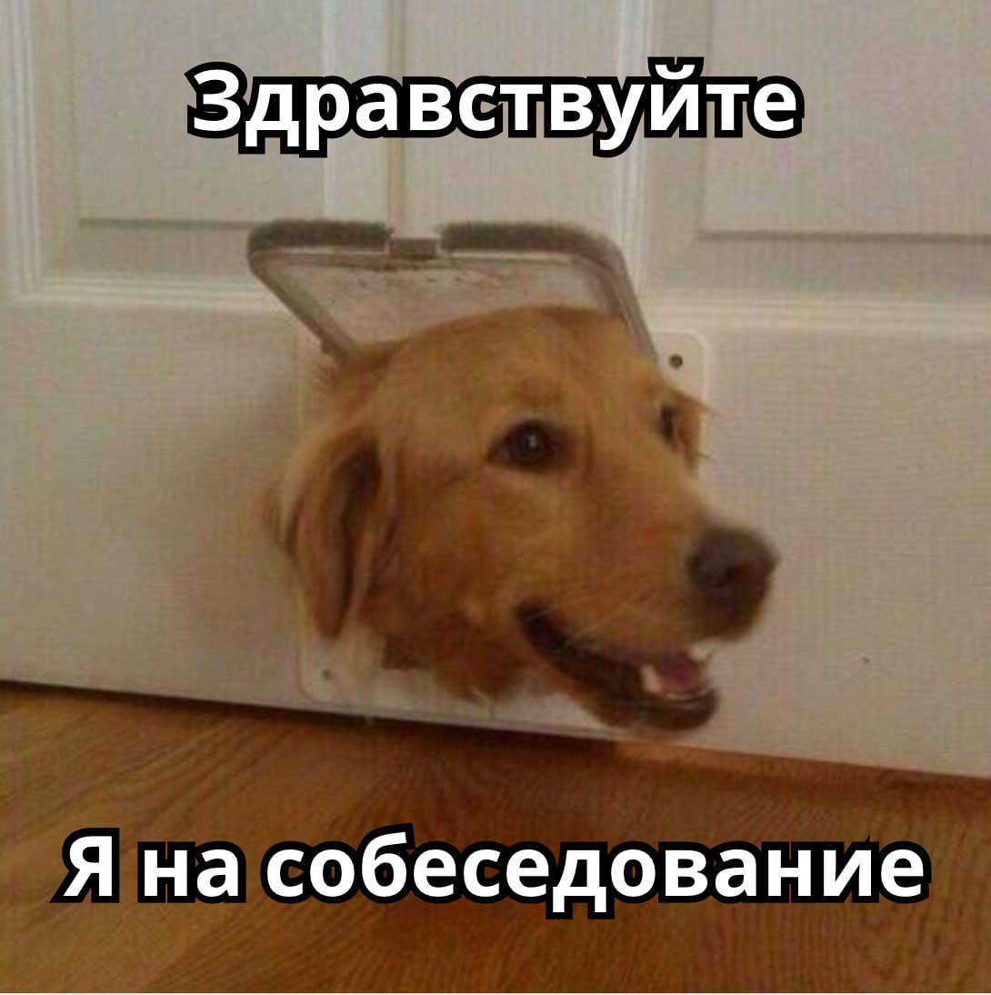 📝 КАК ПОДГОТОВИТЬСЯ К СОБЕСЕДОВАНИЮ
Итак, случилось: тебя пригласили на собеседование. Есть ли что-то, что нужно учесть, для успешного прохождения? Разбираю ниже:
😢 Пунктуальность | Сетка — социальная сеть от hh.ru