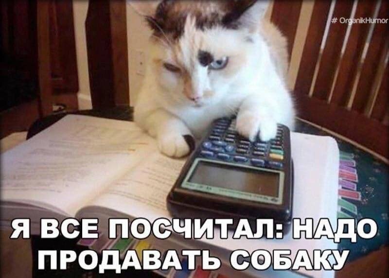 Что сейчас вообще происходит с диджитал-образованием? | Сетка — социальная сеть от hh.ru