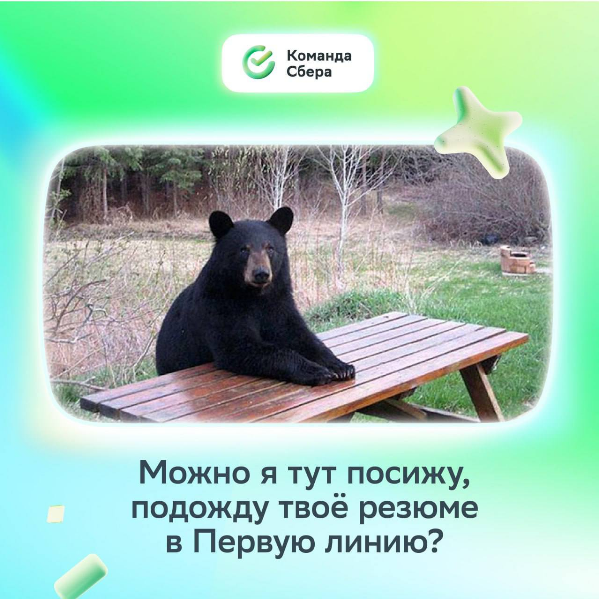 Ну как не отправить резюме, когда видишь такой искренний взгляд?
Скорее оставляй отклик и приходи знакомиться. Посидим, поболтаем про возможности и наметим карьерный трек | Сетка — социальная сеть от hh.ru