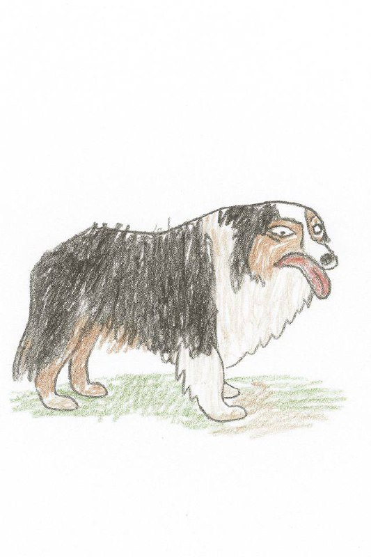 Ну очень некрасивые рисунки!
Зато как смешно))
Нашла на Авито мальчика, который рисует в таком стиле. Оборжалась, когда смотрела примеры - решила заказать и своим животным.
Посмейтесь вместе со мной! | Сетка — социальная сеть от hh.ru