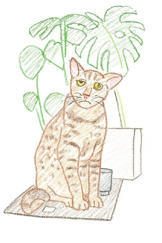 Ну очень некрасивые рисунки!
Зато как смешно))
Нашла на Авито мальчика, который рисует в таком стиле. Оборжалась, когда смотрела примеры - решила заказать и своим животным.
Посмейтесь вместе со мной! | Сетка — социальная сеть от hh.ru