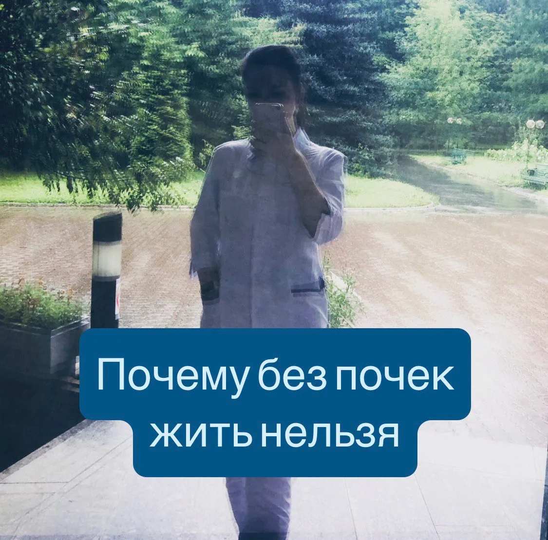 Почему жить без почек нельзя и мы вынуждены имитировать их | Сетка — социальная сеть от hh.ru