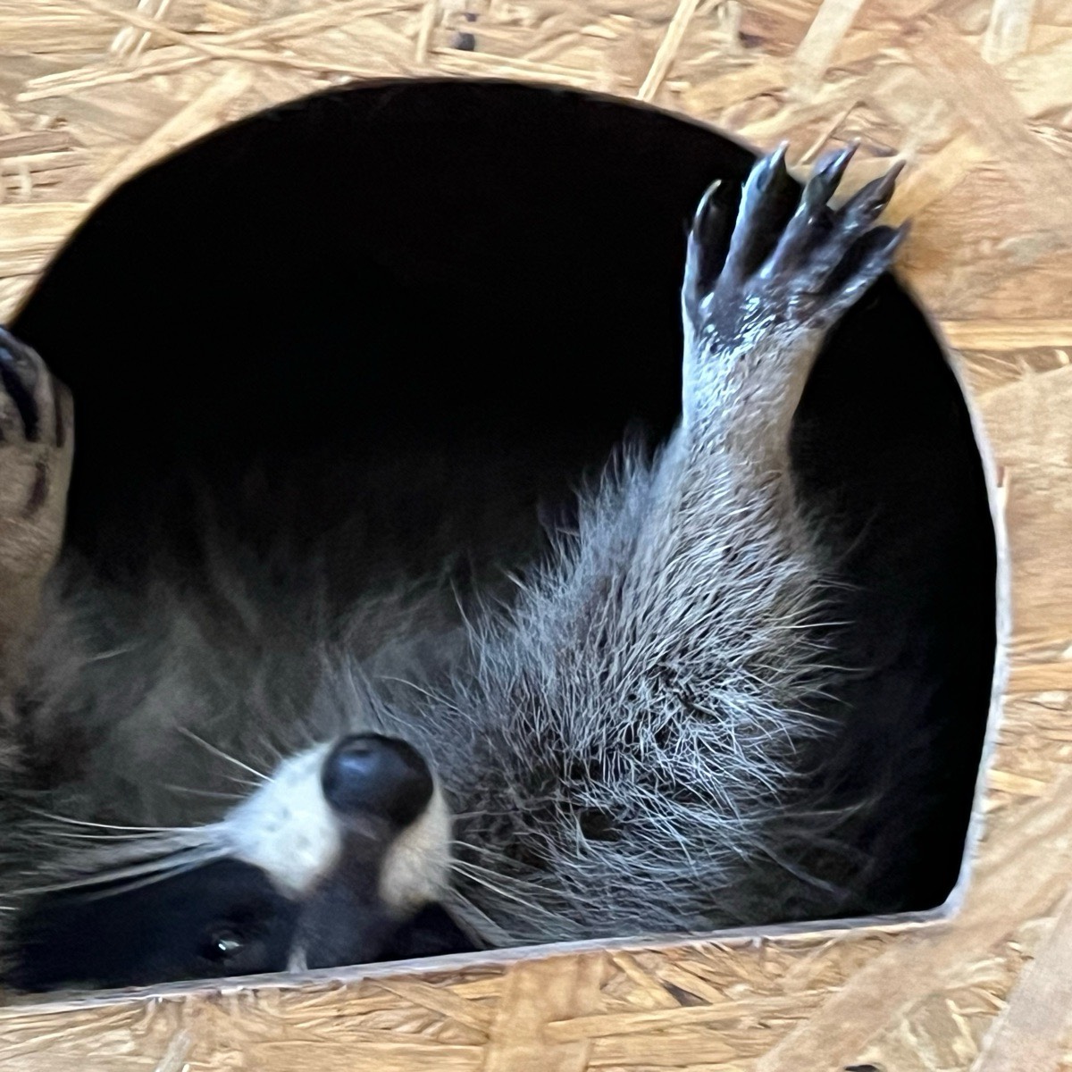 Екатерина Григорьева | Сетка — социальная сеть от hh.ru