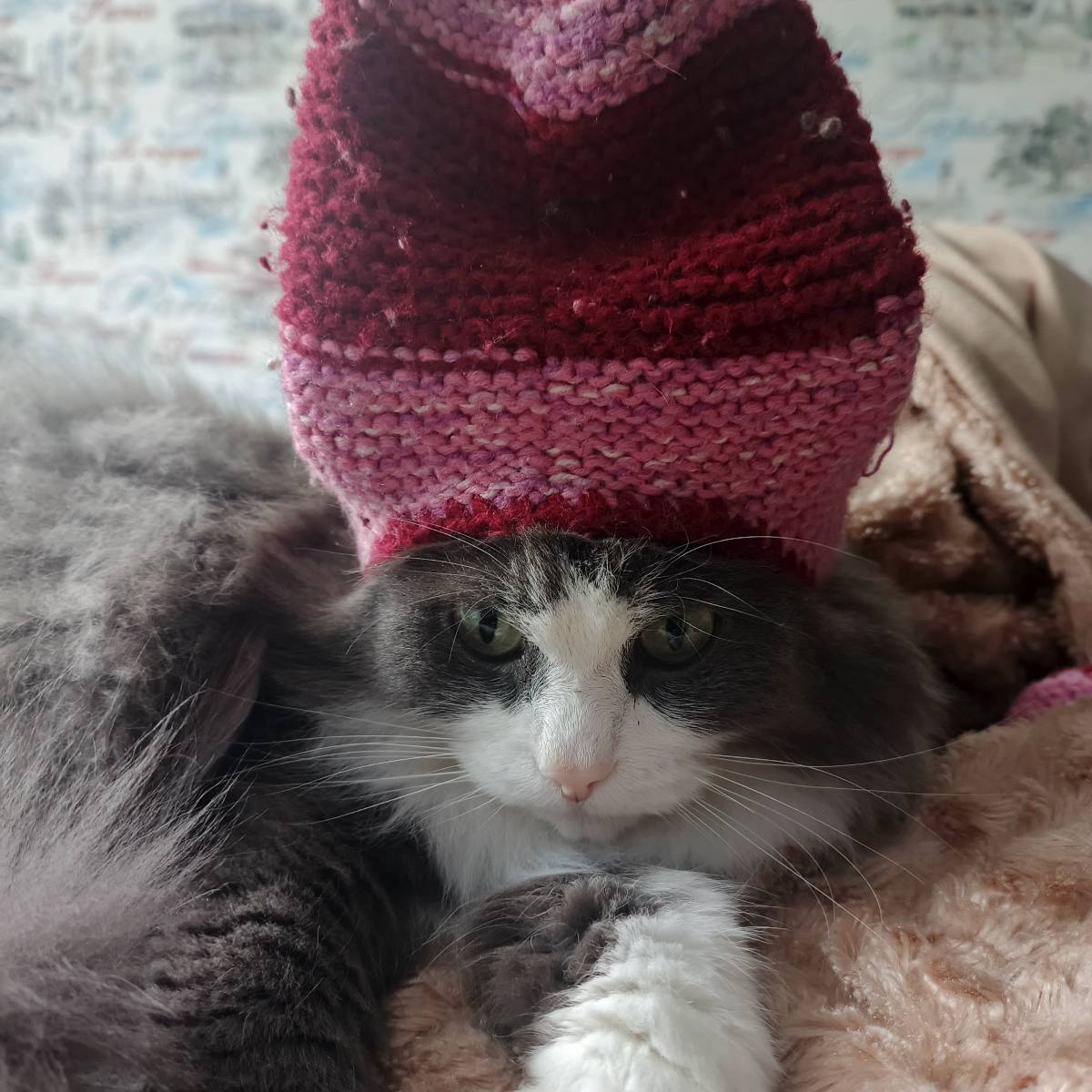 Макс Им